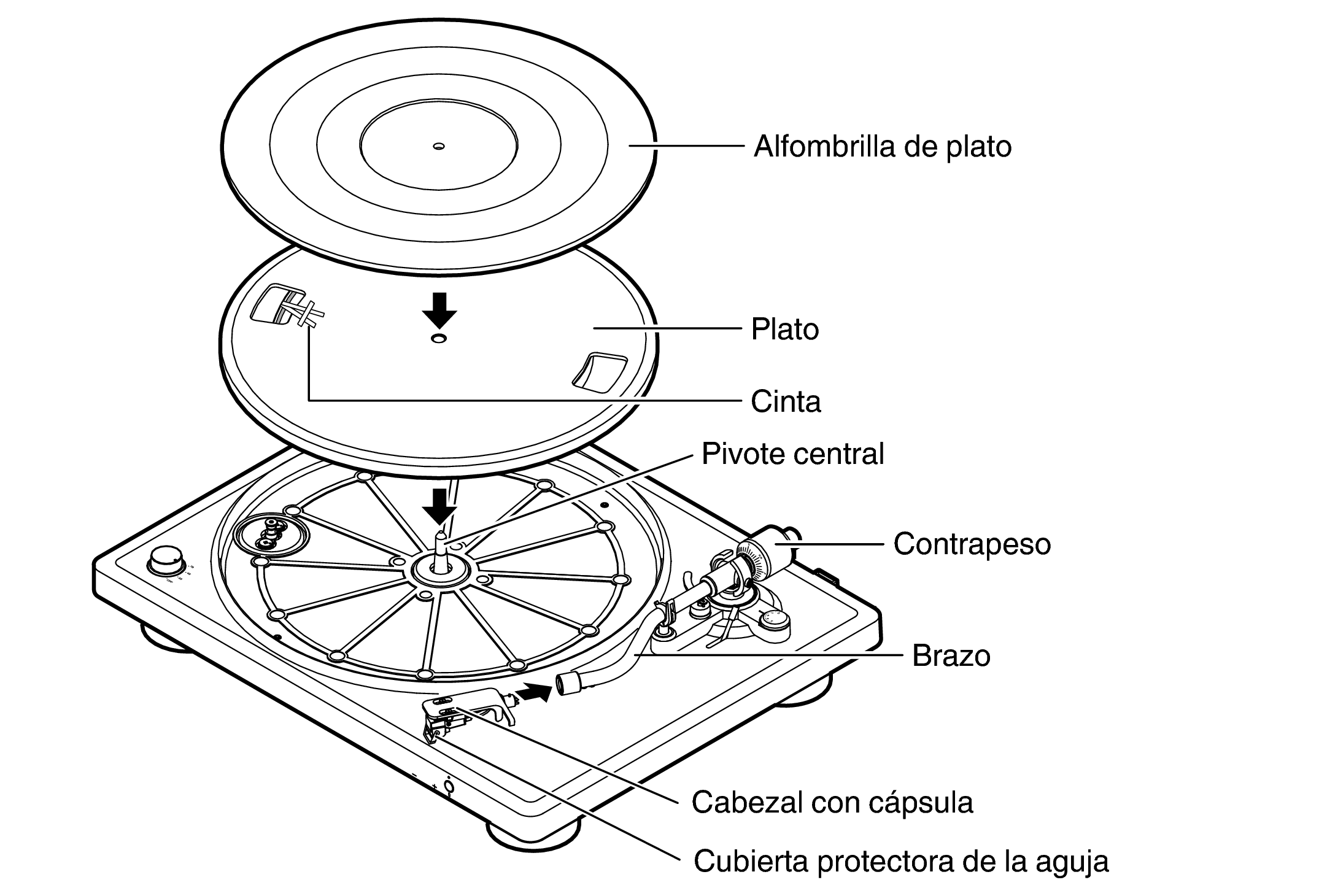Asse DP500BT